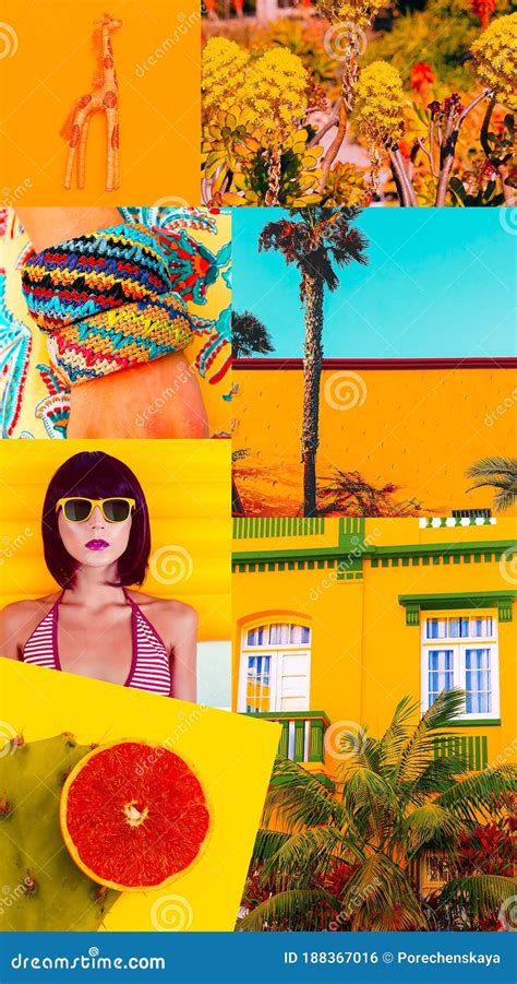 Aesthetic Moodboard Yellow Summer Beach Mood Stock Photo Image Of