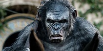 'Kingdom of the Planet of the Apes' Wraps Filming