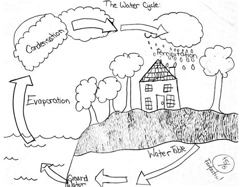 Water cycle coloring page water cycle coloring page lovely easy and fun the cell cycle. Exclusive Picture of Water Cycle Coloring Page ...