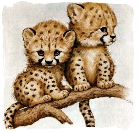 Feel free to explore, study and enjoy paintings with paintingvalley.com. Baby Cheetah Drawing at GetDrawings | Free download
