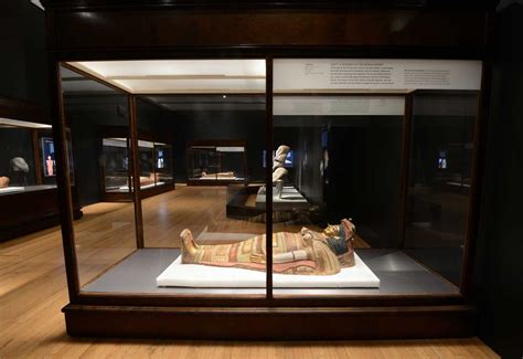 Ancient Mummy Exhibit At Natural History Museum Shows Whats Inside