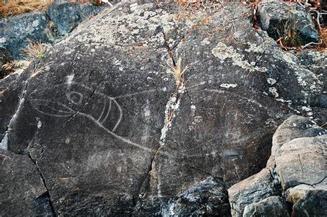 Pin On Rock Art Cave Paintings