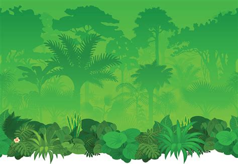 Vector Seamless Tropical Rainforest Jungle Background Stock