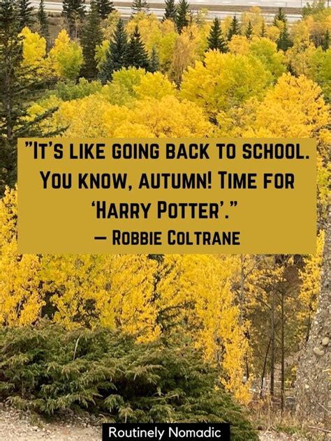100 Funny Fall Captions Routinely Nomadic