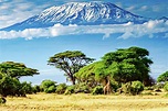 Mount Kilimanjaro, Tanzania, Africa #6 Photograph by Jon Berghoff ...