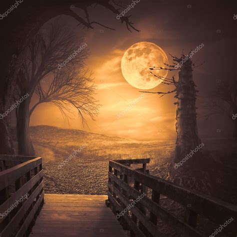 Spooky woods with moonligt as halloween backdrop scene — Stock Photo ...