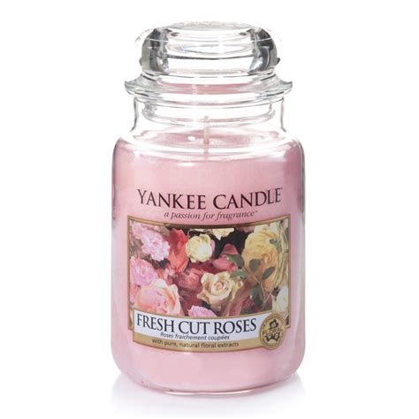 Yankee Candle Large Jar Scented Candle Fresh Cut Roses Up To Hours Burn Time Amazon Co Uk