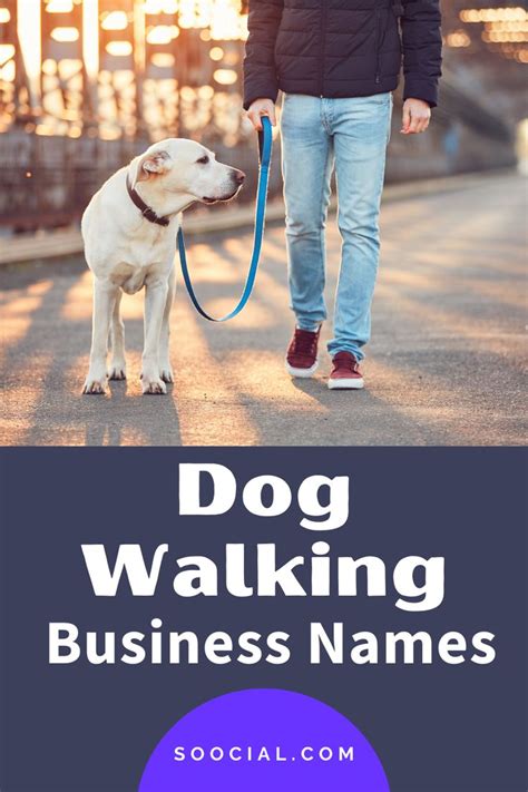 425 Pawsome Dog Walking Business Name Ideas Dog Walking Business