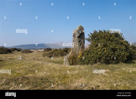 The Dreaming Stone Gors Fawr Preseli Hills Pembrokeshire Uk Stock
