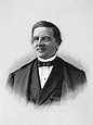 Posterazzi: Samuel J Tilden (1814-1886) Nsamuel Jones Tilden American ...