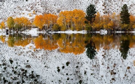 Autumn Trees On The Background Of The First Snow Reflected In The Water