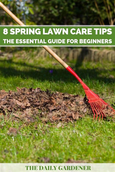 8 Spring Lawn Care Tips The Essential Guide For Beginners
