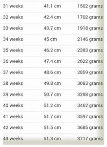 Average Baby Weight At 31 Weeks In Kg Baby Viewer