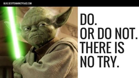 What Yoda Can Teach Entrepreneurs Learn You Will