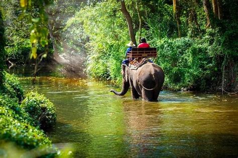 10 Things To Do In Chiang Mai For An Exquisite Thai Holiday
