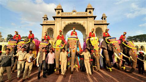 Dasara Jumbos All Set For A Grand Spectacle Star Of Mysore