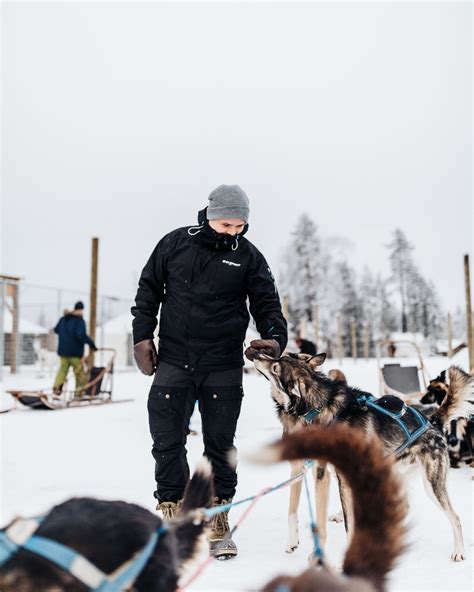 Happy Trail Morning Husky Ride In Rovaniemi Visit Lapland