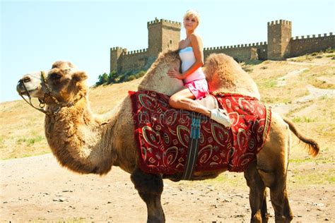A Girl Riding A Camel Stock Photo Image Of Vacations 27049724