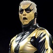 Goldust talks personal milestone, New trailer for upcoming animated ...
