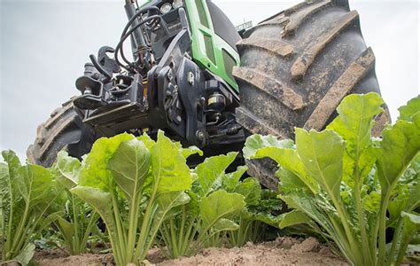 2019 Da Dimenticare Per Lagroalimentare Veneto Veneto Agricoltura