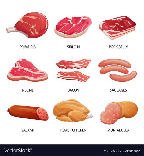 Types Of Meat And Meat Products Vector Illustration Meat Food Sausage