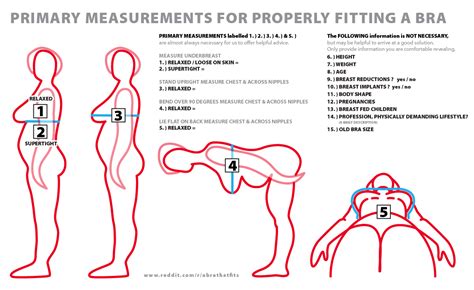 They feature a wide rim and a narrow base which brings. How-to determine bra size | Bustyresources Wiki | FANDOM ...