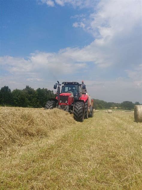 Pferde haben ein ausgeprägtes sozialverhalten und eine haltung in gruppen ist grundsätzlich zu empfehlen. LU Ludger Cordt: Spezialisiert auf Pferdeheu | LU-Web