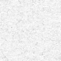 Light Gray Background Image | Free Website Backgrounds