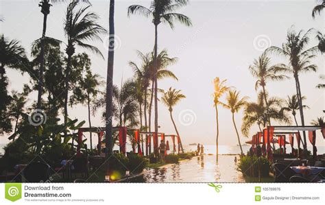 Swimming Pool Reflecting The Sun And Palm Trees Editorial Photo Image