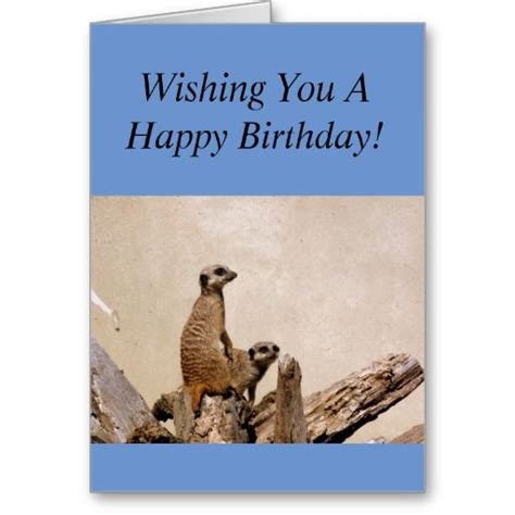 Meerkats Happy Birthday Greeting Card Happy Birthday