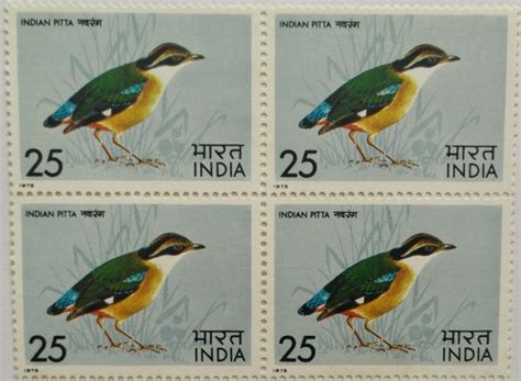 Indian Pitta Bird Indian Pitta Pitta Brachyura Passerine P