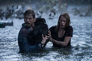 'Crawl': 5 Reasons To Be Horrified And Excited About Alexandre Aja's ...