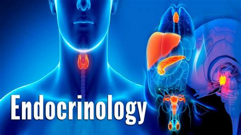 Free Course Endocrinology From Cec Class Central