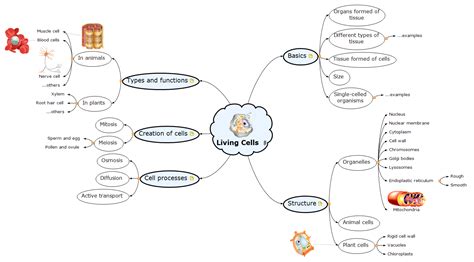Living Cells 653 Mindview Mind Mapping Software