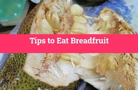 How To Eat Breadfruit 5 Easy Tips