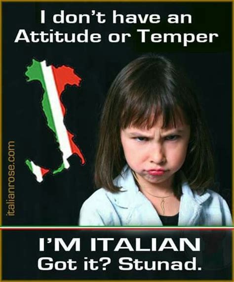 Im Not Yelling Italian Girl Problems Italian Love Quotes Italian