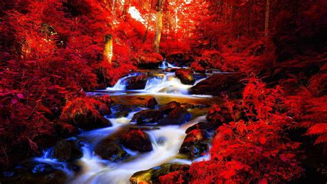 Red Autumn Forest Stream Wallpaper Alam Indonesia