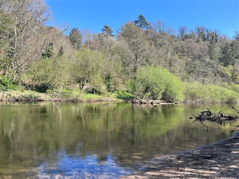 New River Dart Bathing Sites Anthony Mangnall