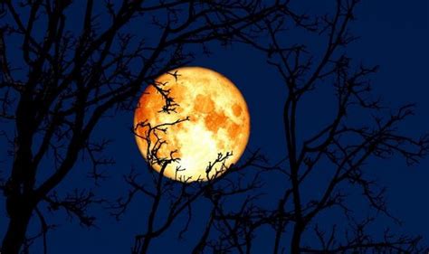 We saw the pink supermoon back in april, and on 26th may, we'll bear witness to one of the brightest and boldest blood orange. March Full Moon 2021: What is the weather forecast for ...