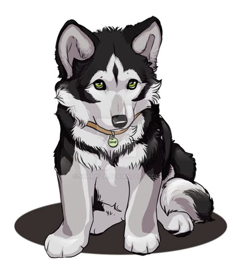 White Husky Png High Quality Image Png Arts