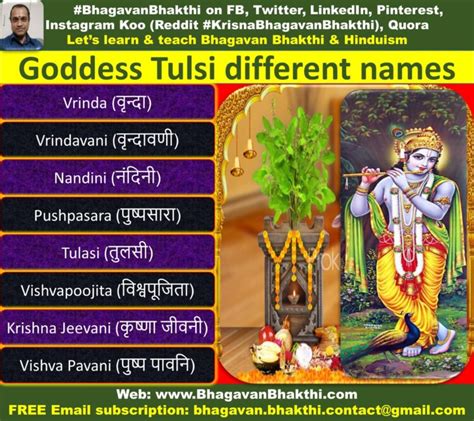 List Of Goddess Tulsi Tulasi Names With Meaning Bhagavan Bhakthi