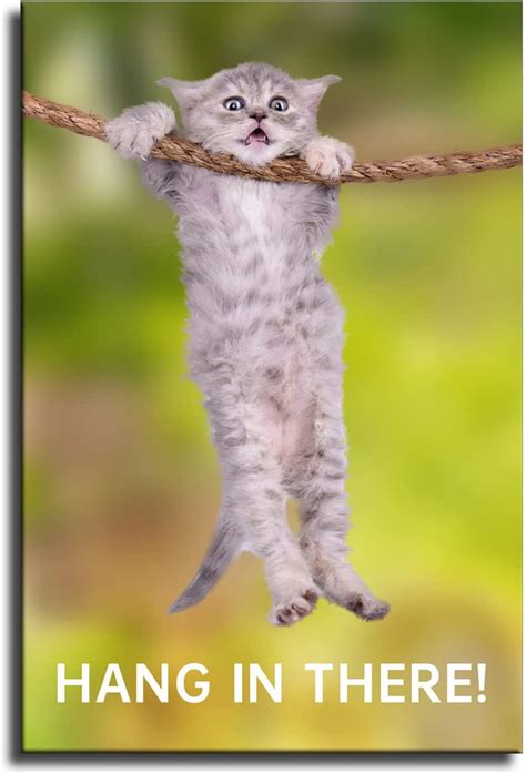 Inspirational Wall Art Hang In There Cat Poster Perfect Funny