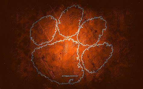 Download Wallpapers Clemson Tigers American Football Team Orange