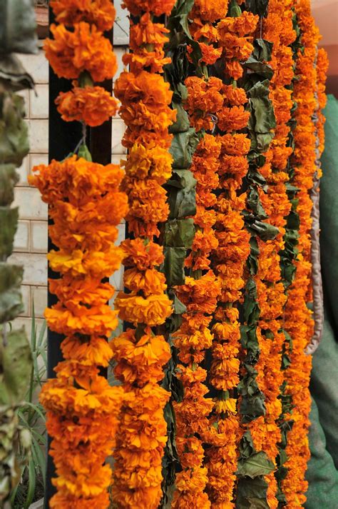 The Significance Of Flowers In Indian Weddings Rachel Cho Floral Design