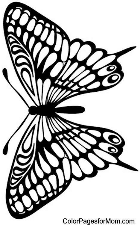 Mandala coloring design in these butterfly coloring pictures will help. Butterfly Coloring Page 29