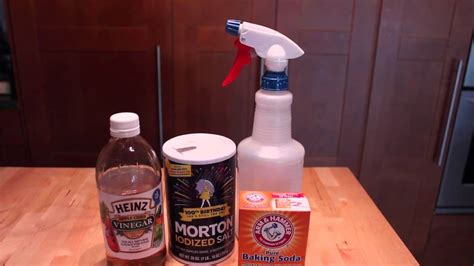 Felines detest citrus scents and will avoid areas where they find lemon or orange peels, which can be placed around your garden. Homemade Flea & Tick Repellent for Pets - YouTube