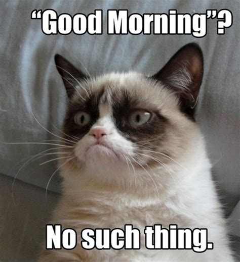A Grumpy Cat Sitting On Top Of A Couch With The Caption Good Morning