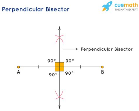 perpendicular bisector definition construction properties examples perpendicular bisector