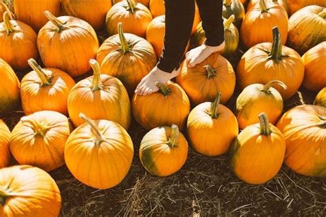 Best Instagram Captions For October Because Its Finally Fall Fall