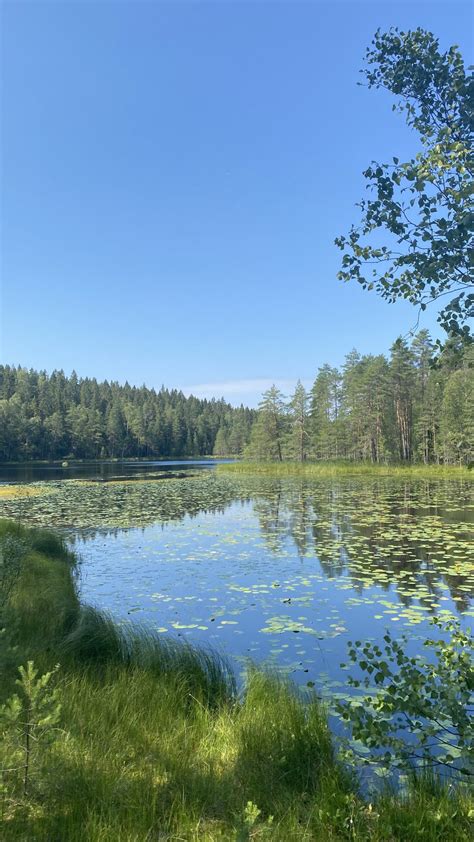Nuuksio National Park Go For A Hike Around The Finnish Forest